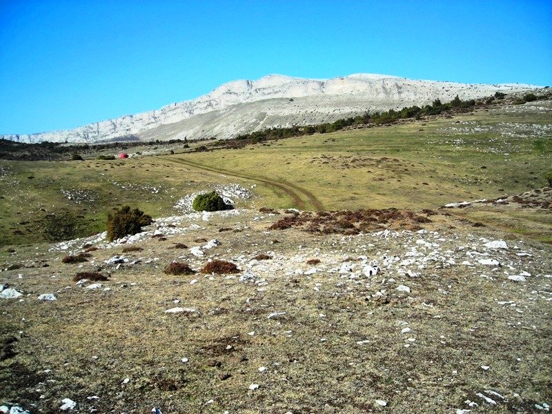 Balsa Fría trikuharria