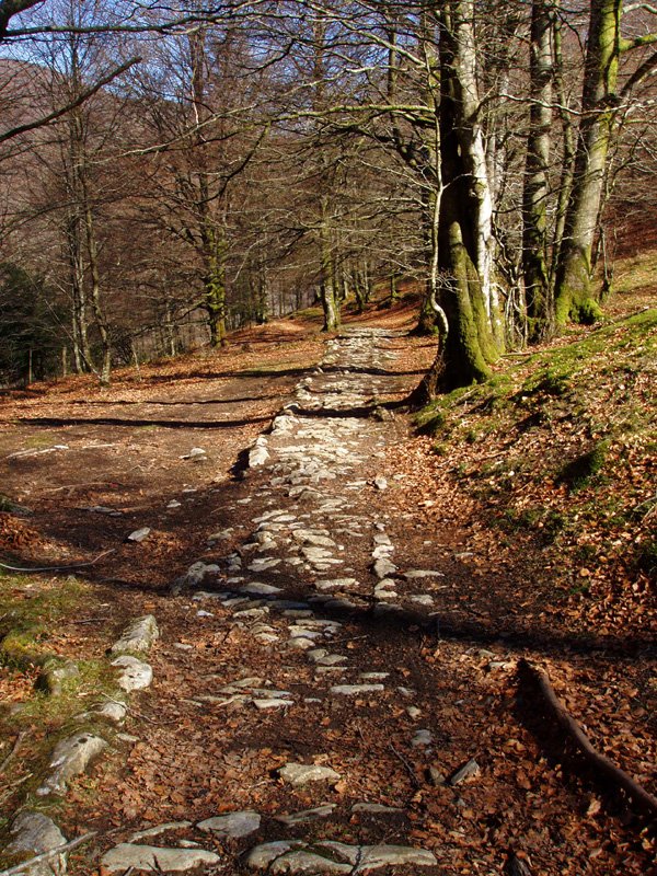 Eltzaburuko galtzadaren arrastoak