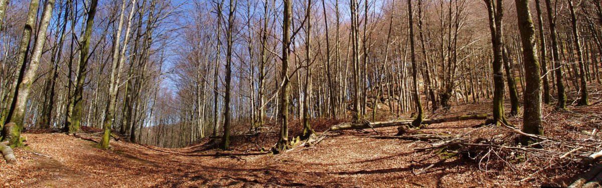 Larremearko bidea, Otsarteko lepoan