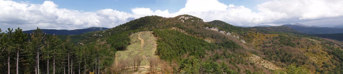 Belogain Quiñones gainatik ikusita