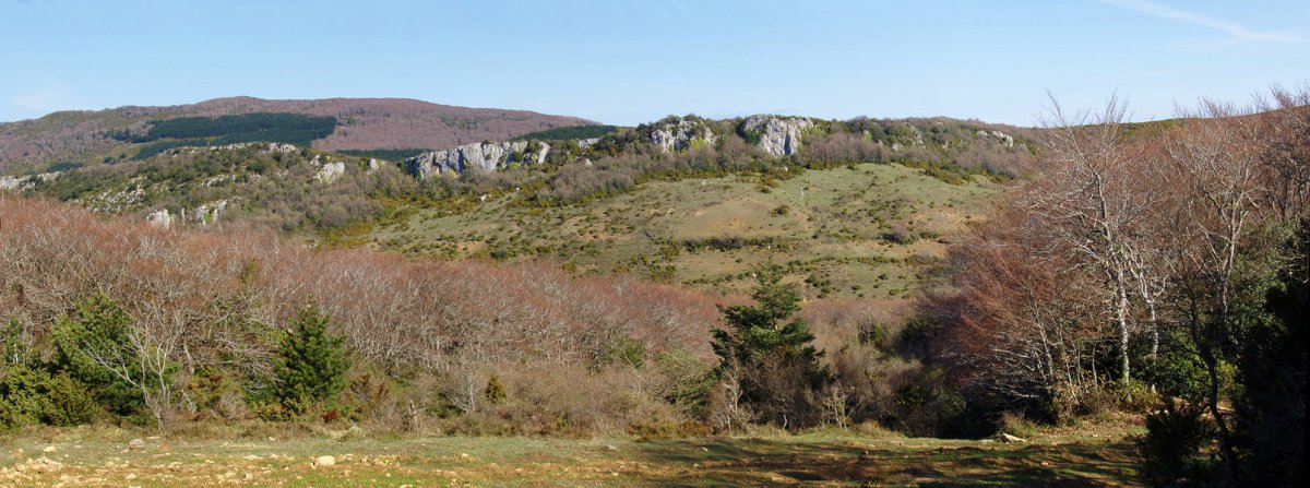 Potxa, eta atzean Txaburu