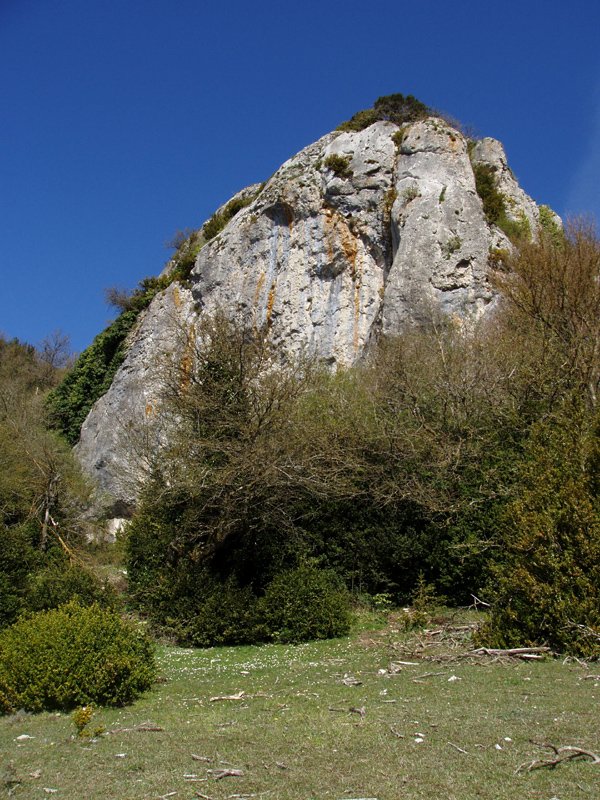 Potxako itxura zirraragarria