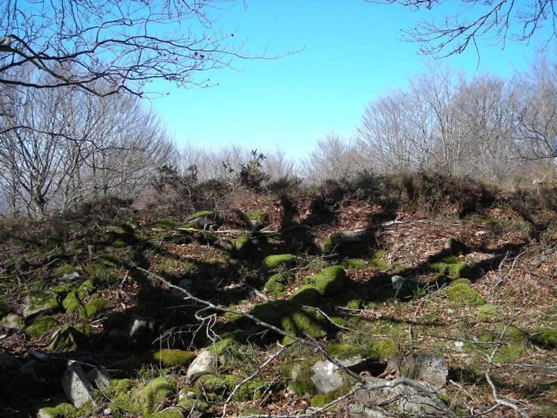 Xafran 2 trikuharria