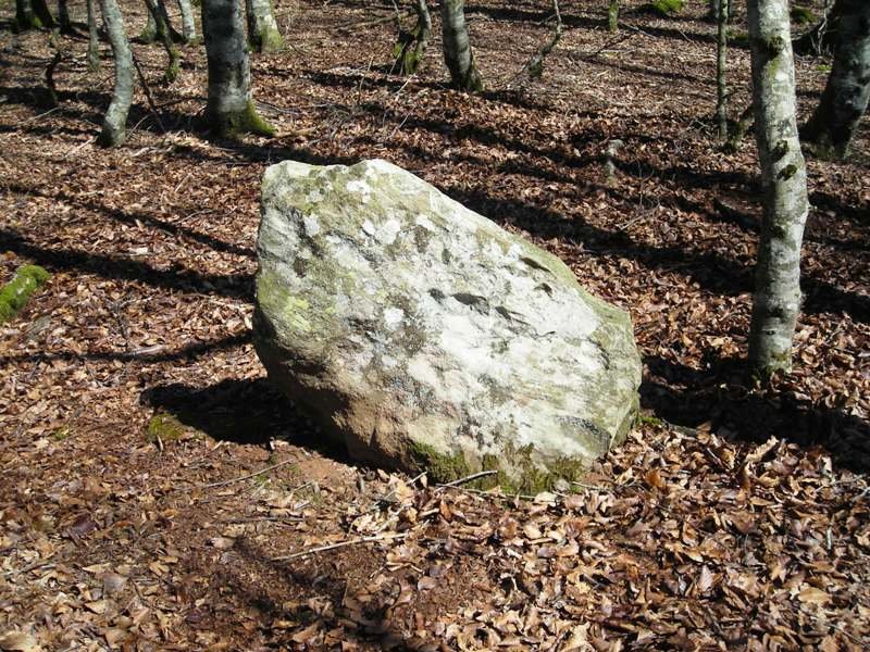 Bixurdiñeta zutarria