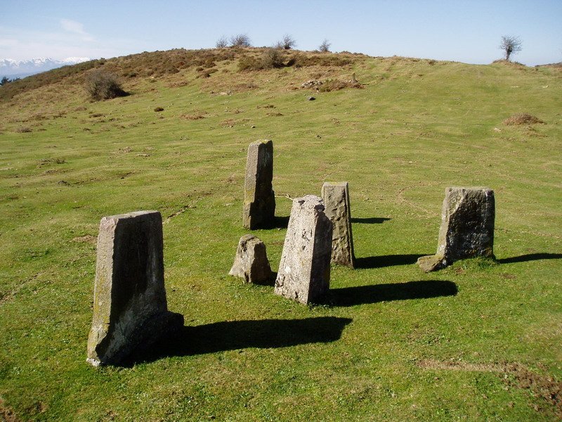 Campo de Ribacobako mugarriak