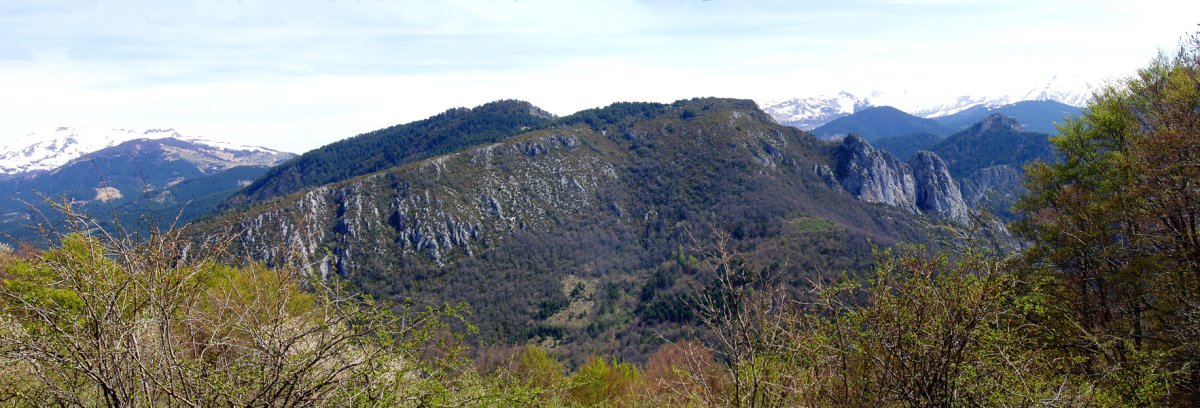 Armotoa eta Ardibidegaina Saitsederrako bidetik