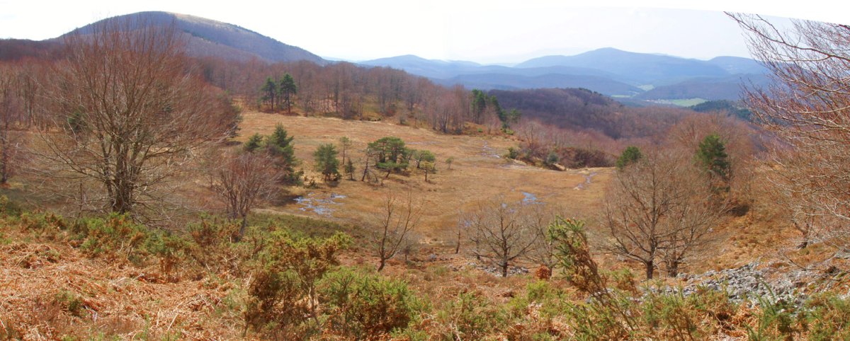 Zingira honi legokioke Apordoki izena ("Apo-ordoki")