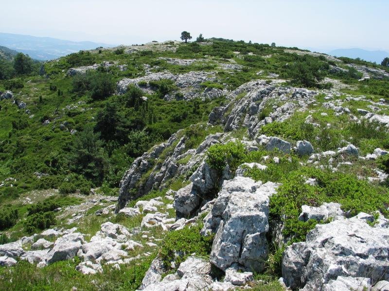 Tontorraren inguruak