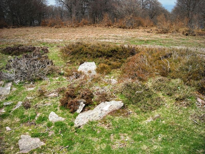 Korona ekialde 3 trikuharria