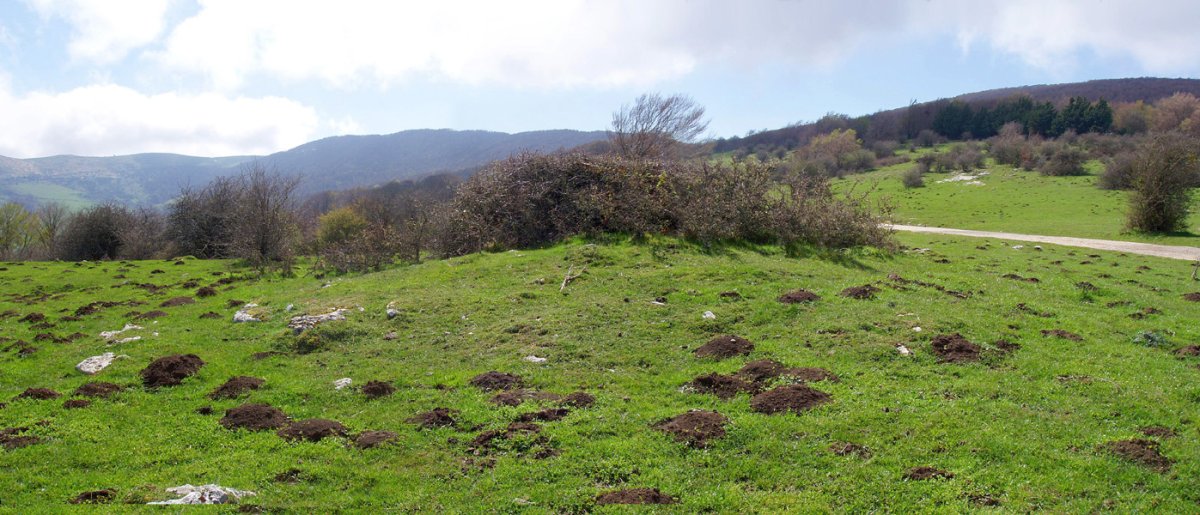 Berrendizelaiko tumulua Zelane lepoan