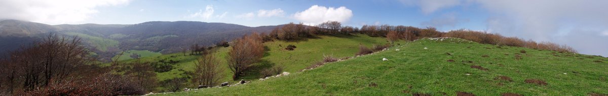 Ugagibelgo gailur bikoitza