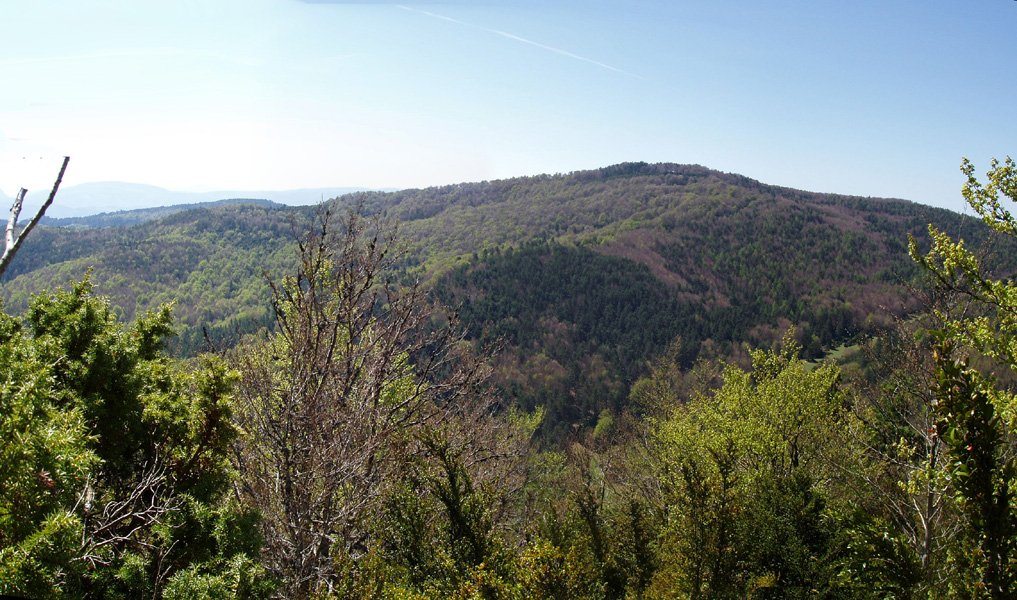 Borrokoxko Arbaxamenditik