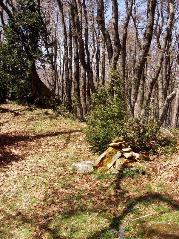 Borrokoxkoko gailurra