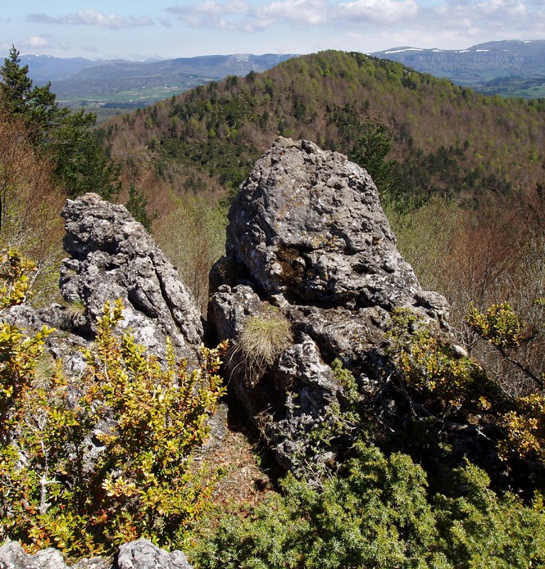 Araxamendiko gailurra. Atzean, Menditxusia