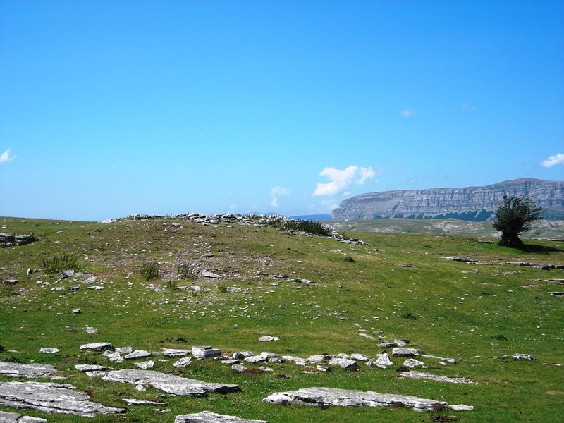 Larrenganbela 1 txabola tumularra