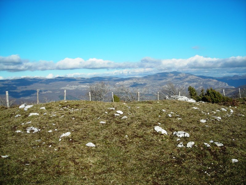 Etxarriko Portugañe 2  trikuharria