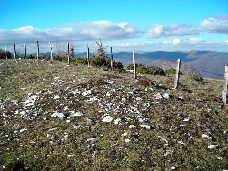 Etxarriko Portugañe  tumulua