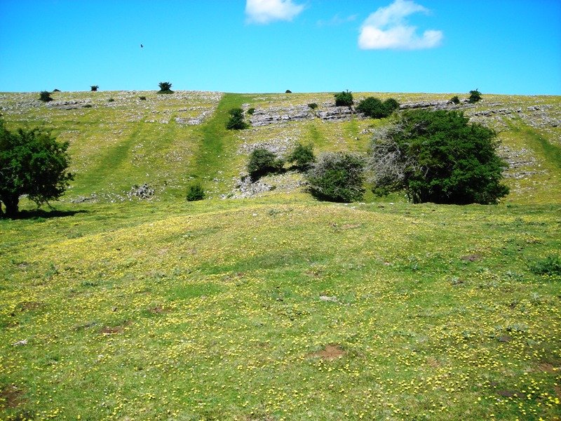 Sosaportillo mendebalde etxola hondoa