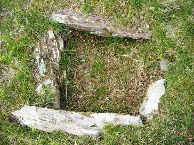 Erentzu mendebalde trikuharria