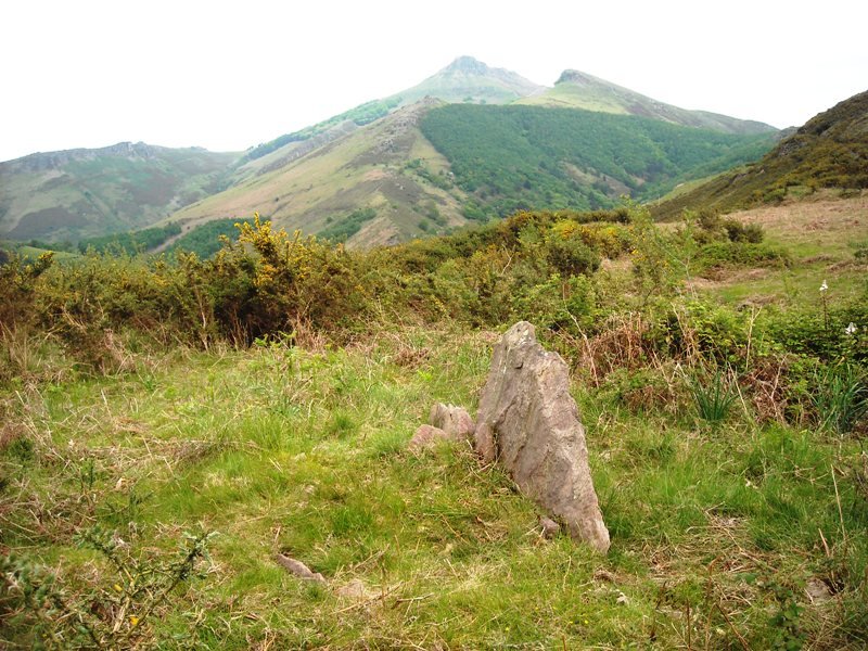 Erentzu ipar trikuharria