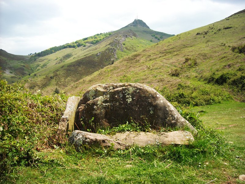 Deskargahandiko Lepoa trikuharria