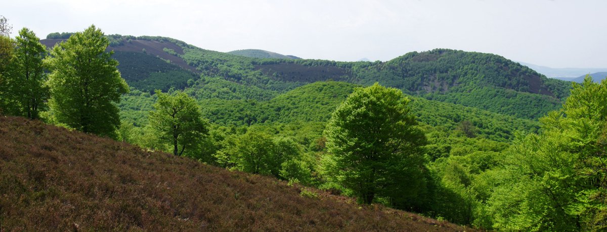 Urdanatz eta Apordoki Garbitz menditik