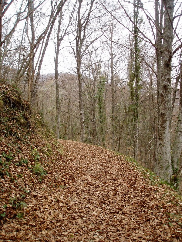 Villabásconesetik Las Pisasera doan bidea