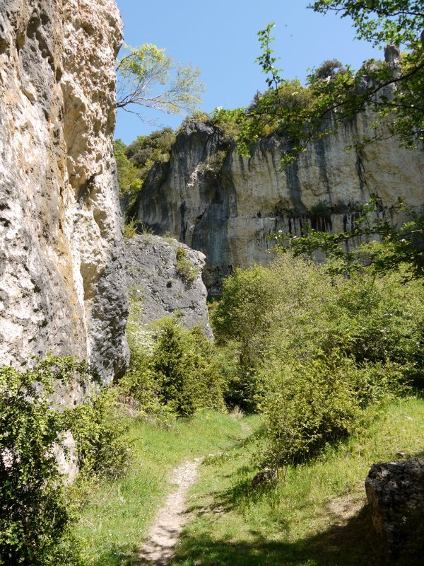 Ubaguako arroileko bideko pasarte bat