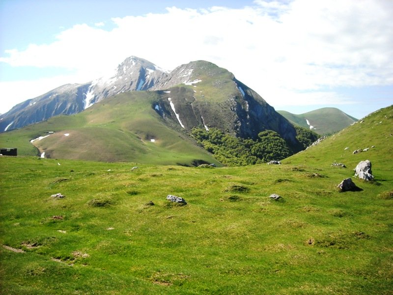 Millagate harrespilak