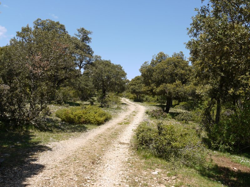 Arizaleta aldetik igotzen den pista