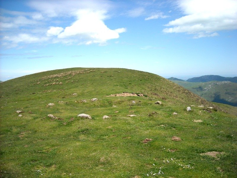 Hartsudurra harrespila