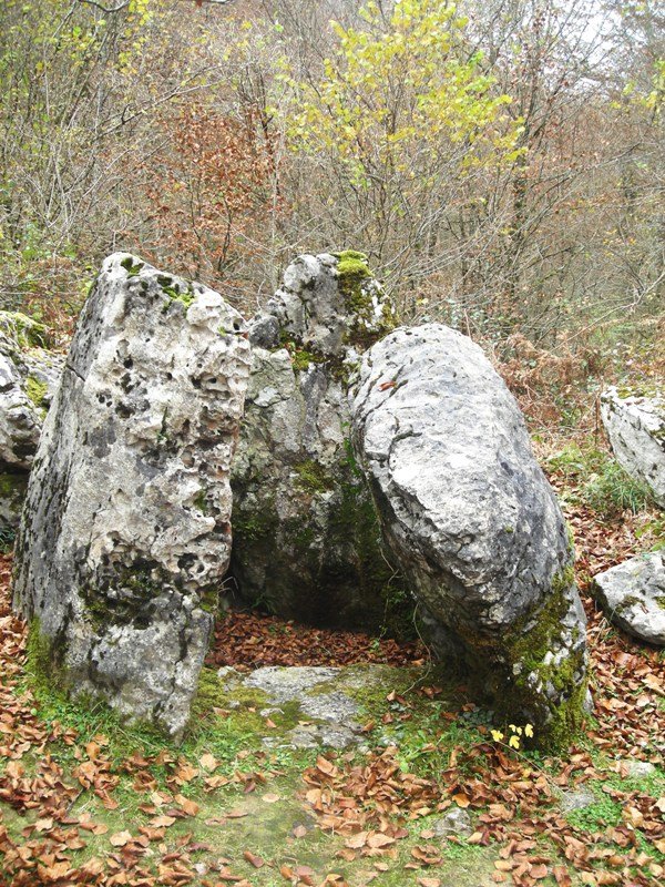 Ithe I  hego  trikuharria