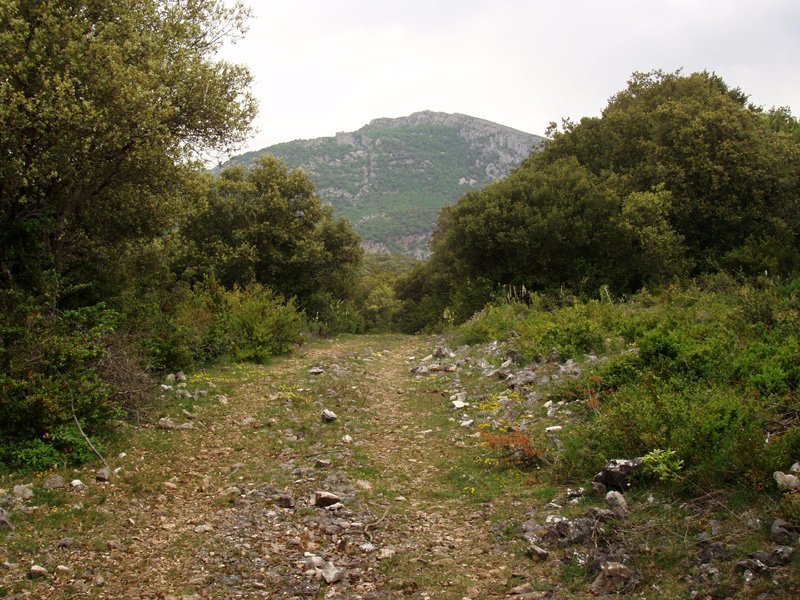 Etxauriko mendateko bidea