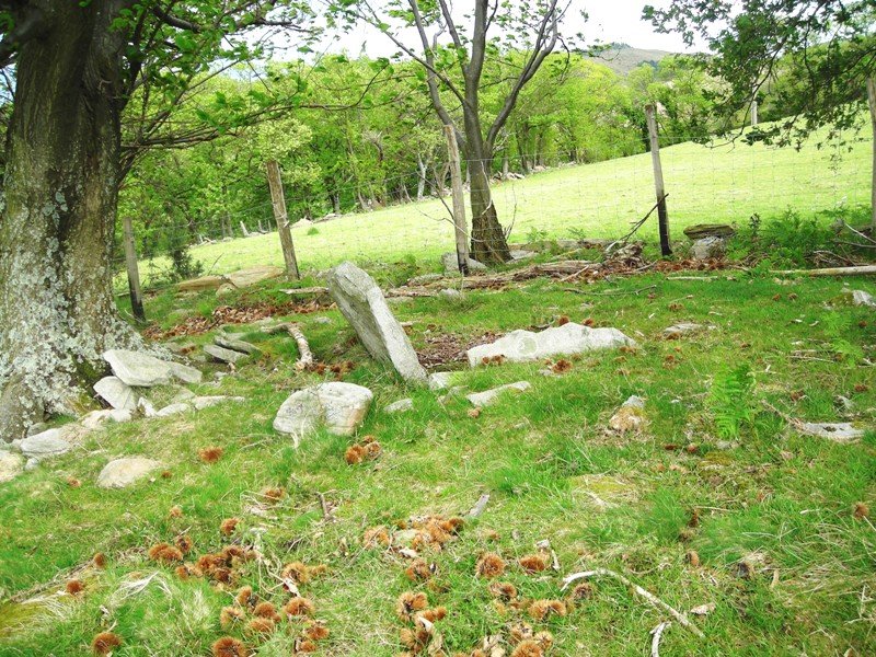 Argibele  I  trikuharria