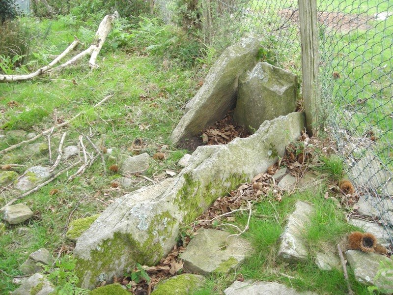 Argibele II  trikuharria