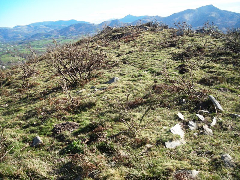 Gaztiñabakar harrespila