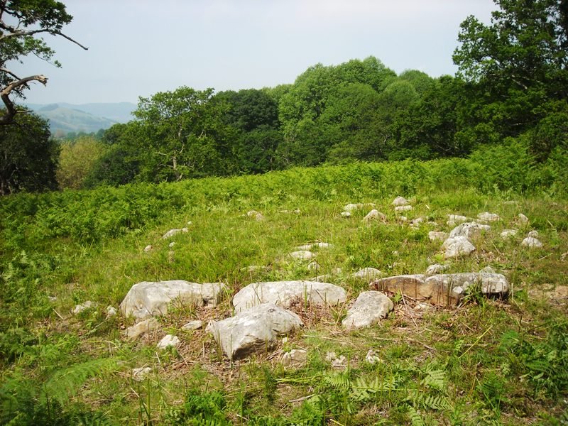 Faageko Erreka Hego   harrespila