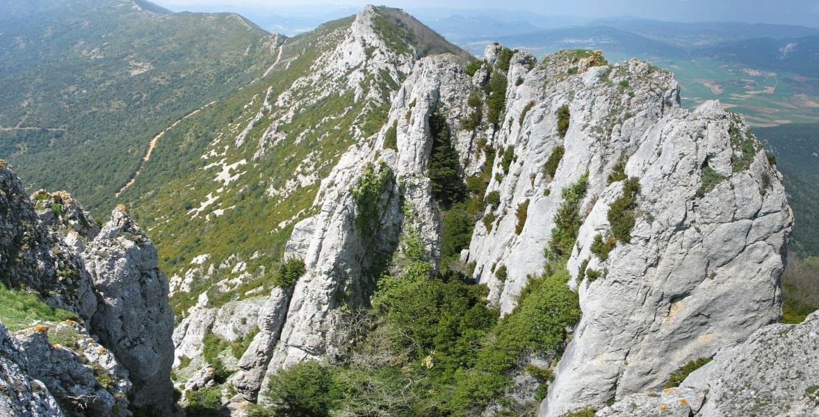 Mendebaldeko gandorra tontorretik