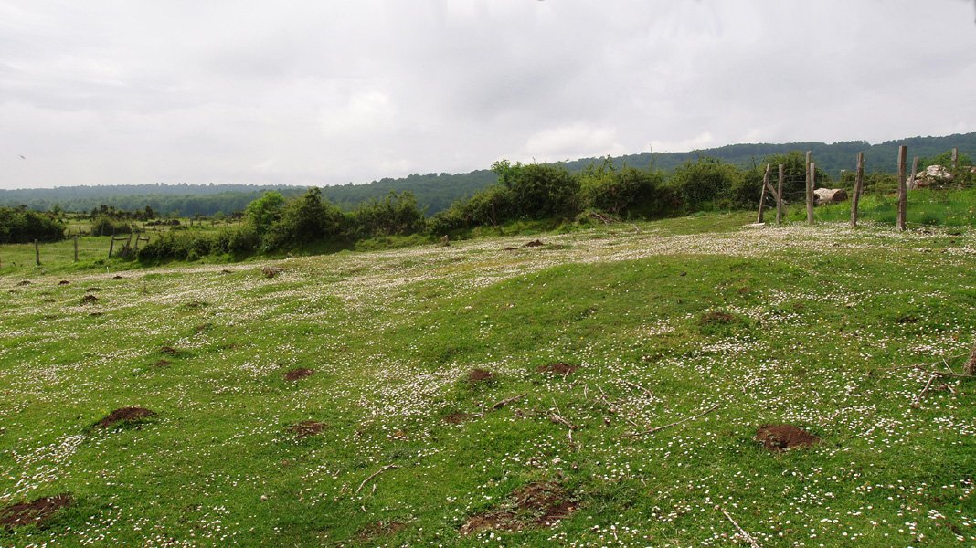 Txintxaleze 3, Corrales de Zudaire