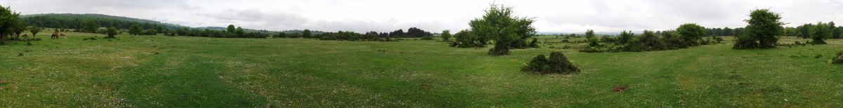 Andasarriko belardiak