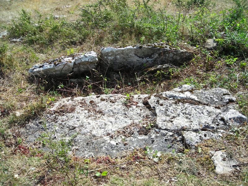 Itxasorde  trikuharria