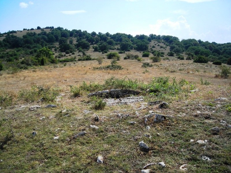 Itxasorde  trikuharria