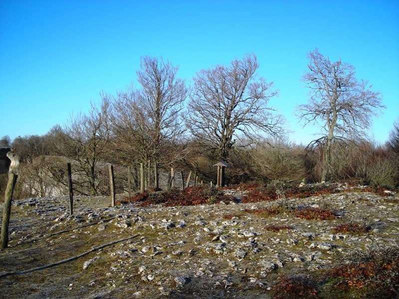 Ubaba tumulo de anillo