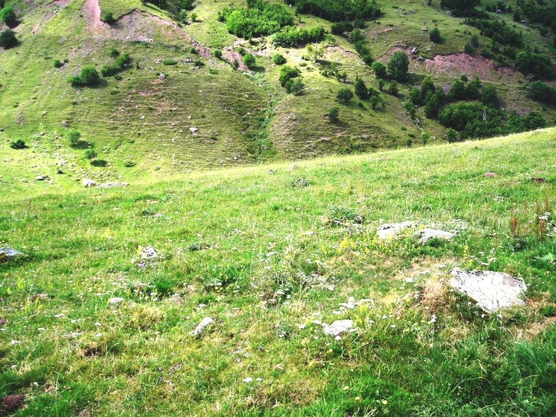 Mallo Blanco Sur harrespila