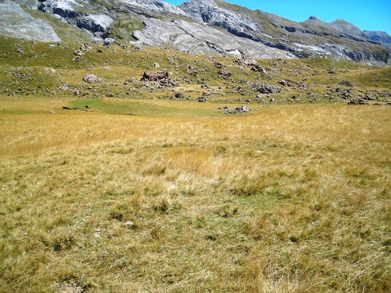 Plano Bajo  Este tumulua