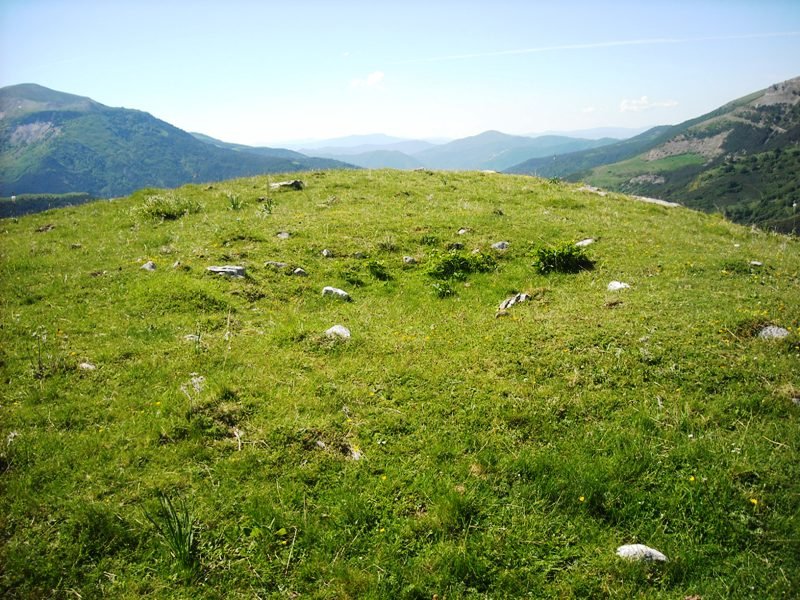 Loma de Chitón trikuharria