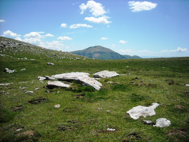 Solano de Ezkaurre  trikuharria