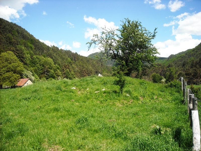 Lubrakieta trikuharria