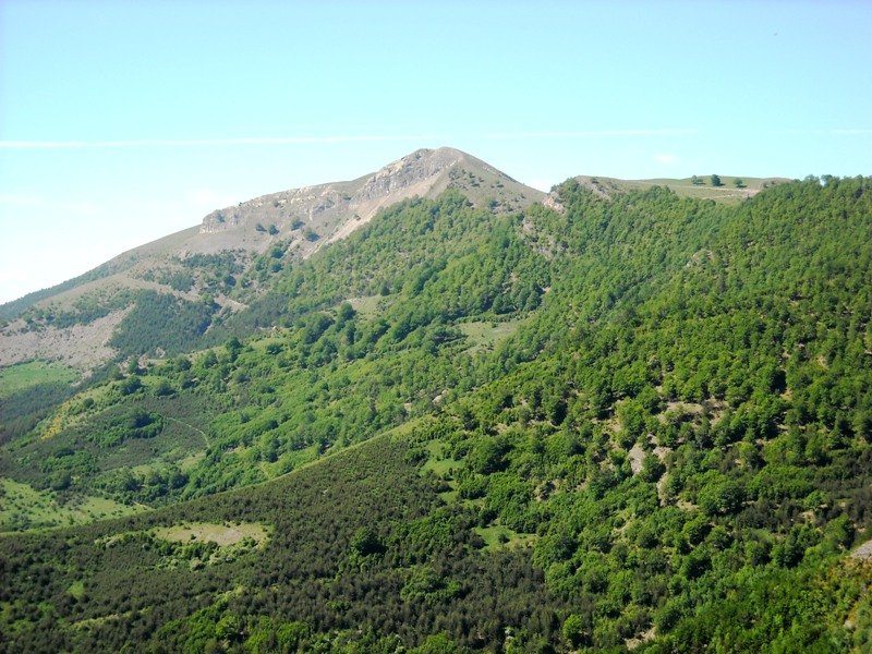 Idoia, Loma de Chitonera igoeratik