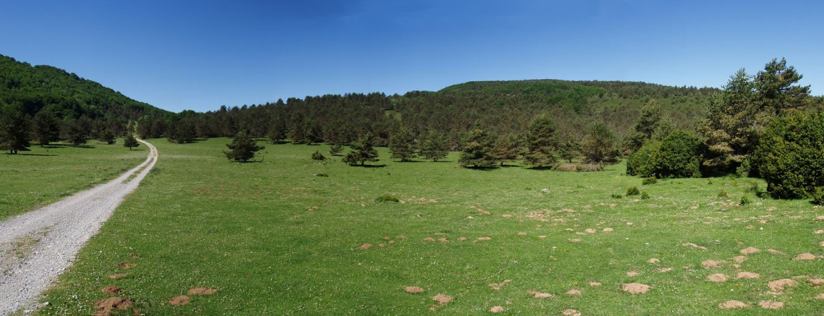 Aretako mendatea. Eskuinaldeko bizkar hori Baigura da.